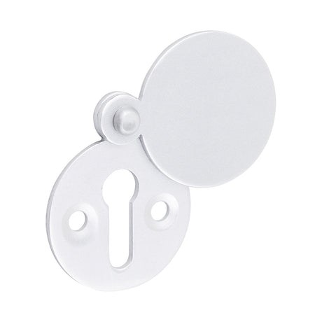 This is an image showing TIMCO Covered Escutcheon - Satin Anodised Aluminium - 38mm - 2 Pieces TIMpac available from T.H Wiggans Ironmongery in Kendal, quick delivery at discounted prices.