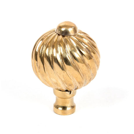 This is an image showing From The Anvil - Polished Brass Spiral Cabinet Knob - Small available from T.H Wiggans Architectural Ironmongery in Kendal, quick delivery and discounted prices