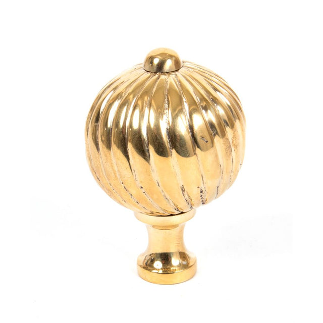 This is an image showing From The Anvil - Polished Brass Spiral Cabinet Knob - Large available from T.H Wiggans Architectural Ironmongery in Kendal, quick delivery and discounted prices