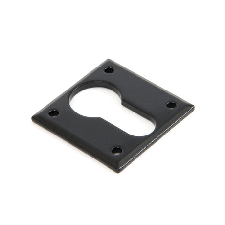 This is an image of From The Anvil - Black Avon Euro Escutcheon available to order from T.H Wiggans Architectural Ironmongery in Kendal, quick delivery and discounted prices.