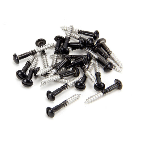 This is an image showing From The Anvil - Black SS 3.5 x 25 Roundhead Screws (25) available from T.H Wiggans Architectural Ironmongery in Kendal, quick delivery and discounted prices