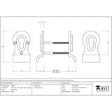 This is an image showing From The Anvil - Aged Brass 50mm Euro Door Pull (Back to Back fixings) available from trade door handles, quick delivery and discounted prices