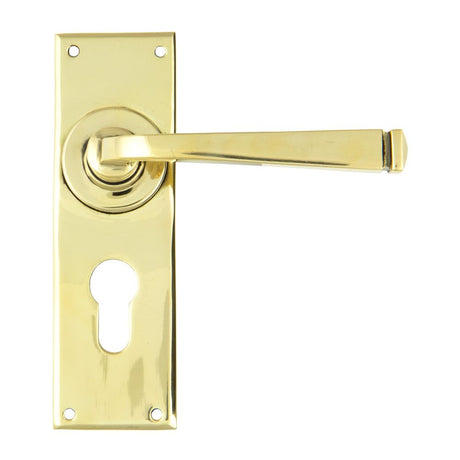 This is an image of From The Anvil - Aged Brass Avon Lever Euro Lock Set available to order from T.H Wiggans Architectural Ironmongery in Kendal, quick delivery and discounted prices.