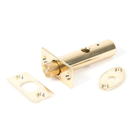 This is an image showing From The Anvil - Electro Brassed Security Door Bolt available from T.H Wiggans Architectural Ironmongery in Kendal, quick delivery and discounted prices
