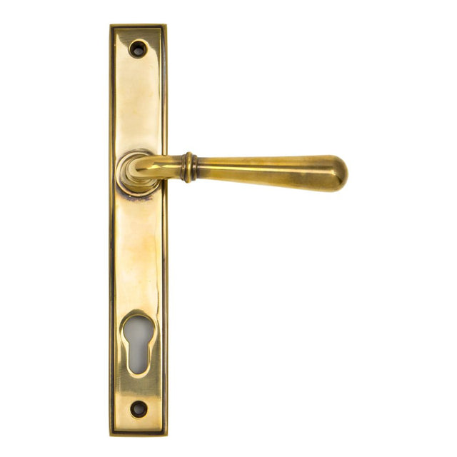 This is an image of From The Anvil - Aged Brass Newbury Slimline Lever Espag. Lock Set available to order from T.H Wiggans Architectural Ironmongery in Kendal, quick delivery and discounted prices.