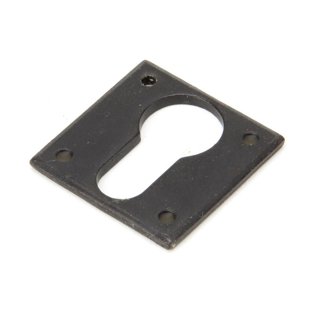 This is an image of From The Anvil - External Beeswax Avon Euro Escutcheon available to order from T.H Wiggans Architectural Ironmongery in Kendal, quick delivery and discounted prices.