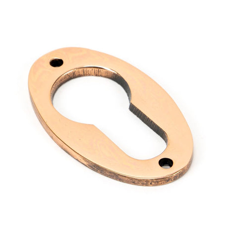 This is an image of From The Anvil - Polished Bronze Oval Euro Escutcheon available to order from T.H Wiggans Architectural Ironmongery in Kendal, quick delivery and discounted prices.