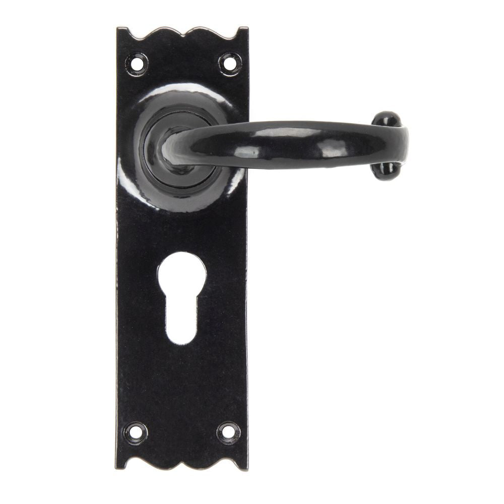 This is an image showing From The Anvil - Black Cottage Lever Euro Lock Set available from trade door handles, quick delivery and discounted prices