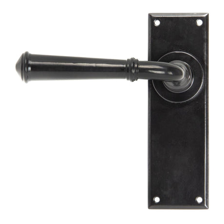 This is an image of From The Anvil - Black Regency Lever Latch Set available to order from T.H Wiggans Architectural Ironmongery in Kendal, quick delivery and discounted prices.