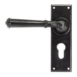 This is an image of From The Anvil - Black Regency Lever Euro Lock Set available to order from T.H Wiggans Architectural Ironmongery in Kendal, quick delivery and discounted prices.