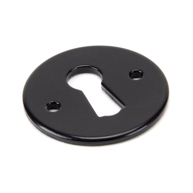 This is an image of From The Anvil - Black Regency Escutcheon available to order from T.H Wiggans Architectural Ironmongery in Kendal, quick delivery and discounted prices.