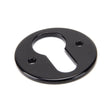 This is an image of From The Anvil - Black Regency Euro Escutcheon available to order from T.H Wiggans Architectural Ironmongery in Kendal, quick delivery and discounted prices.