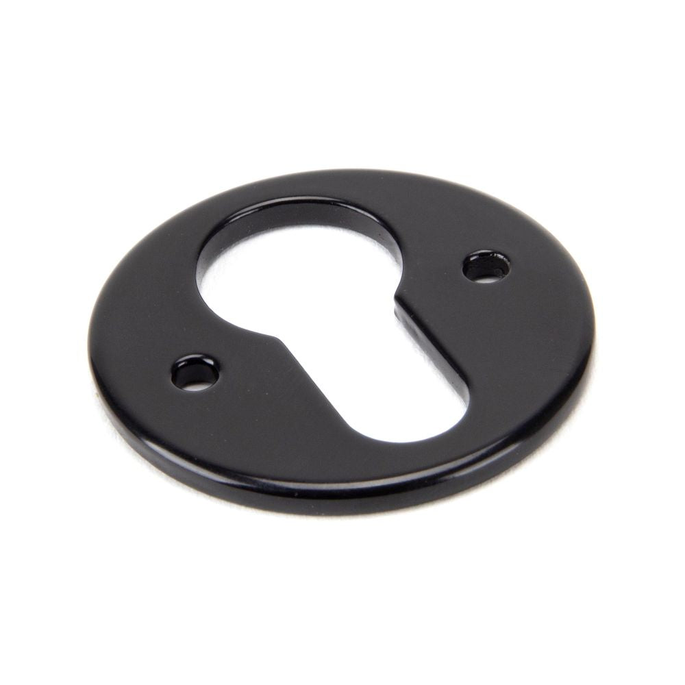 This is an image of From The Anvil - Black Regency Euro Escutcheon available to order from T.H Wiggans Architectural Ironmongery in Kendal, quick delivery and discounted prices.