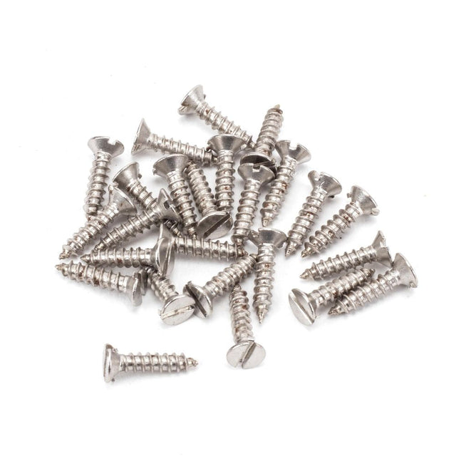 This is an image showing From The Anvil - Stainless Steel 4x?" Countersunk Screws (25) available from T.H Wiggans Architectural Ironmongery in Kendal, quick delivery and discounted prices