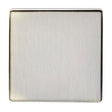 This is an image showing Eurolite Concealed 3mm Single Blank Plate - Antique Brass (With Black Trim) ab1bb available to order from T.H. Wiggans Ironmongery in Kendal, quick delivery and discounted prices.