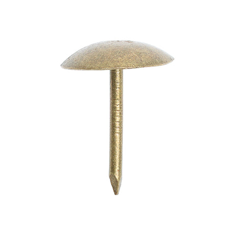 This is an image showing TIMCO Upholstery Nails - Bronze - 10.5 x 15.7 - 50 Pieces TIMpac available from T.H Wiggans Ironmongery in Kendal, quick delivery at discounted prices.