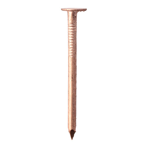 This is an image showing TIMCO Clout Nails - Copper - 38 x 2.65 - 1 Kilograms TIMbag available from T.H Wiggans Ironmongery in Kendal, quick delivery at discounted prices.