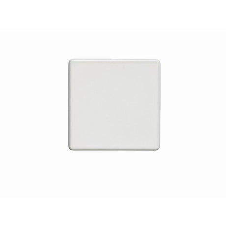 This is an image showing Eurolite Concealed 3mm Single Blank Plate - White (With White Trim) ecw1b available to order from T.H. Wiggans Ironmongery in Kendal, quick delivery and discounted prices.
