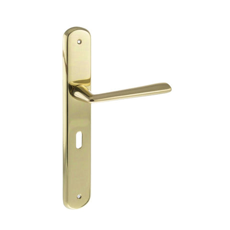 This is an image of Forme Brigette Solid Brass Key Lever on Backplate - Polished Brass available to order from T.H Wiggans Architectural Ironmongery in Kendal, quick delivery and discounted prices.