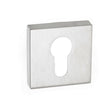 This is an image of Forme Euro Escutcheon on Minimal Square Rose - Satin Chrome available to order from T.H Wiggans Architectural Ironmongery in Kendal, quick delivery and discounted prices.