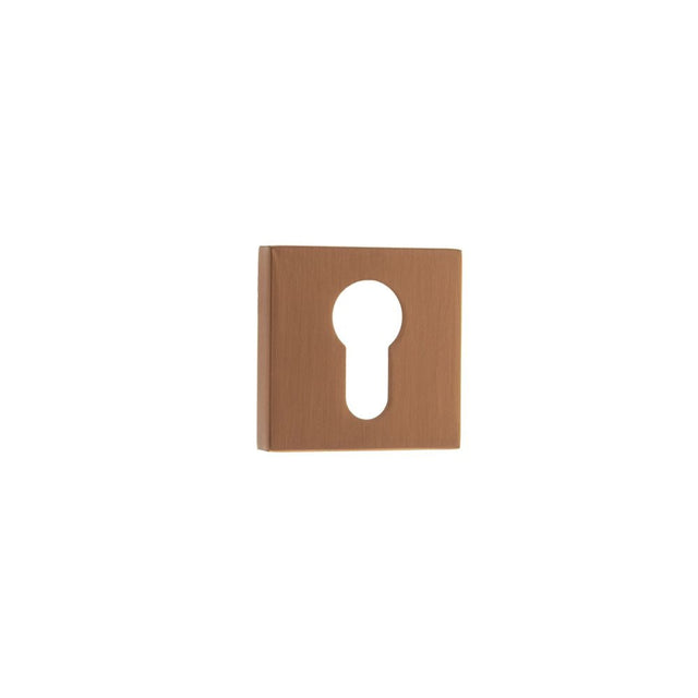 This is an image of Forme Euro Escutcheon on Minimal Square Rose - Urban Satin Copper available to order from T.H Wiggans Architectural Ironmongery in Kendal, quick delivery and discounted prices.