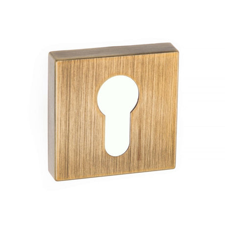 This is an image of Forme Euro Escutcheon on Minimal Square Rose - Yester Bronze available to order from T.H Wiggans Architectural Ironmongery in Kendal, quick delivery and discounted prices.