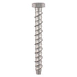 This is an image showing TIMCO Masonry Bolts - Hex - Exterior - Silver - 10.0 x 100 - 2 Pieces TIMpac available from T.H Wiggans Ironmongery in Kendal, quick delivery at discounted prices.