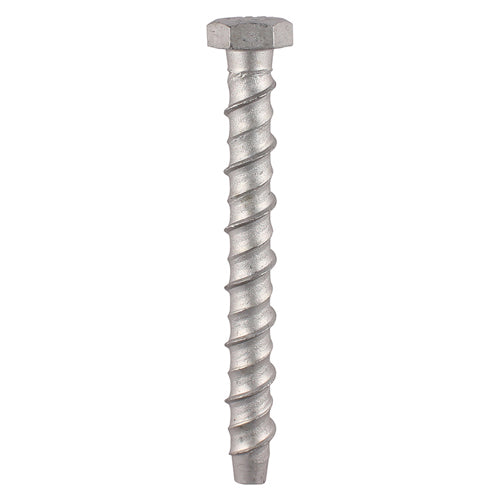 This is an image showing TIMCO Masonry Bolts - Hex - Exterior - Silver - 10.0 x 100 - 2 Pieces TIMpac available from T.H Wiggans Ironmongery in Kendal, quick delivery at discounted prices.