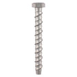 This is an image showing TIMCO Masonry Bolts - Hex - Exterior - Silver - 12.0 x 100 - 2 Pieces TIMpac available from T.H Wiggans Ironmongery in Kendal, quick delivery at discounted prices.