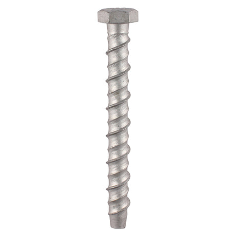 This is an image showing TIMCO Masonry Bolts - Hex - Exterior - Silver - 12.0 x 130 - 6 Pieces TIMbag available from T.H Wiggans Ironmongery in Kendal, quick delivery at discounted prices.