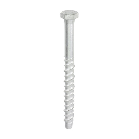 This is an image showing TIMCO Multi-Fix Masonry Bolts - Hex - Exterior - Silver - 12.0 x 150 - 25 Pieces Box available from T.H Wiggans Ironmongery in Kendal, quick delivery at discounted prices.