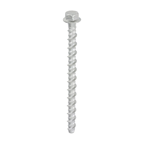 This is an image showing TIMCO Multi-Fix Masonry Bolts - Hex Flange - Exterior - Silver - 6.0 x 100 - 100 Pieces Box available from T.H Wiggans Ironmongery in Kendal, quick delivery at discounted prices.