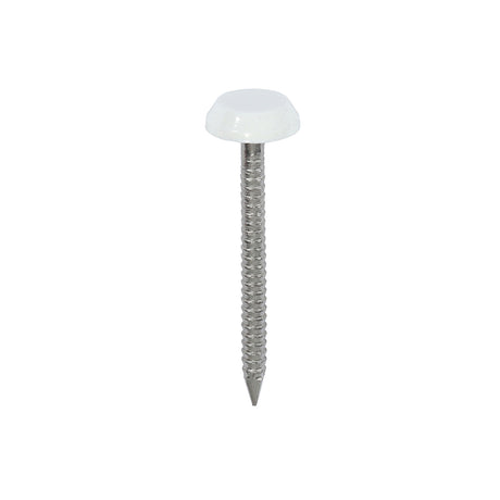 This is an image showing TIMCO Polymer Headed Nails - A4 Stainless Steel - White - 40mm - 100 Pieces Box available from T.H Wiggans Ironmongery in Kendal, quick delivery at discounted prices.