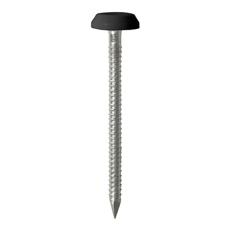 This is an image showing TIMCO Polymer Headed Pins - Stainless Steel - Black - 50mm - 25 Pieces TIMpac available from T.H Wiggans Ironmongery in Kendal, quick delivery at discounted prices.