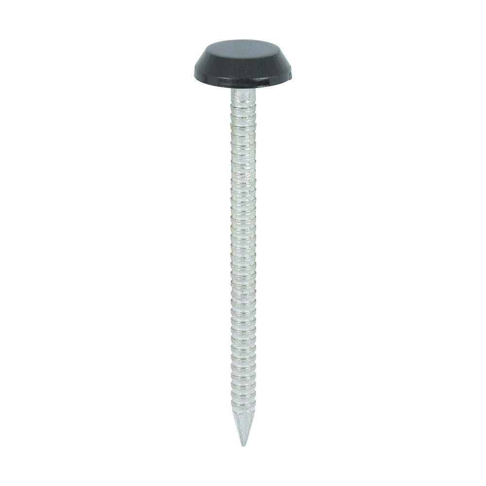 This is an image showing TIMCO Polymer Headed Nails - A4 Stainless Steel - Black - 50mm - 100 Pieces Box available from T.H Wiggans Ironmongery in Kendal, quick delivery at discounted prices.