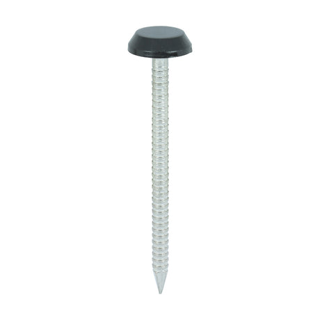 This is an image showing TIMCO Polymer Headed Nails - A4 Stainless Steel - Black - 50mm - 100 Pieces Box available from T.H Wiggans Ironmongery in Kendal, quick delivery at discounted prices.