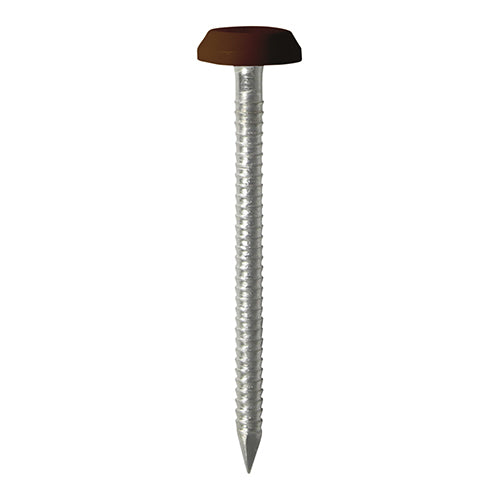 This is an image showing TIMCO Polymer Headed Nails - A4 Stainless Steel - Mahogany - 50mm - 100 Pieces Box available from T.H Wiggans Ironmongery in Kendal, quick delivery at discounted prices.