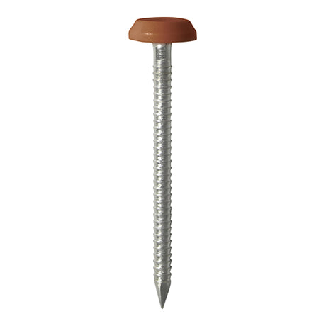 This is an image showing TIMCO Polymer Headed Nails - A4 Stainless Steel - Clay Brown - 50mm - 100 Pieces Box available from T.H Wiggans Ironmongery in Kendal, quick delivery at discounted prices.