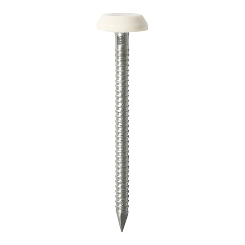 This is an image showing TIMCO Polymer Headed Pins - Stainless Steel - White - 50mm - 25 Pieces TIMpac available from T.H Wiggans Ironmongery in Kendal, quick delivery at discounted prices.