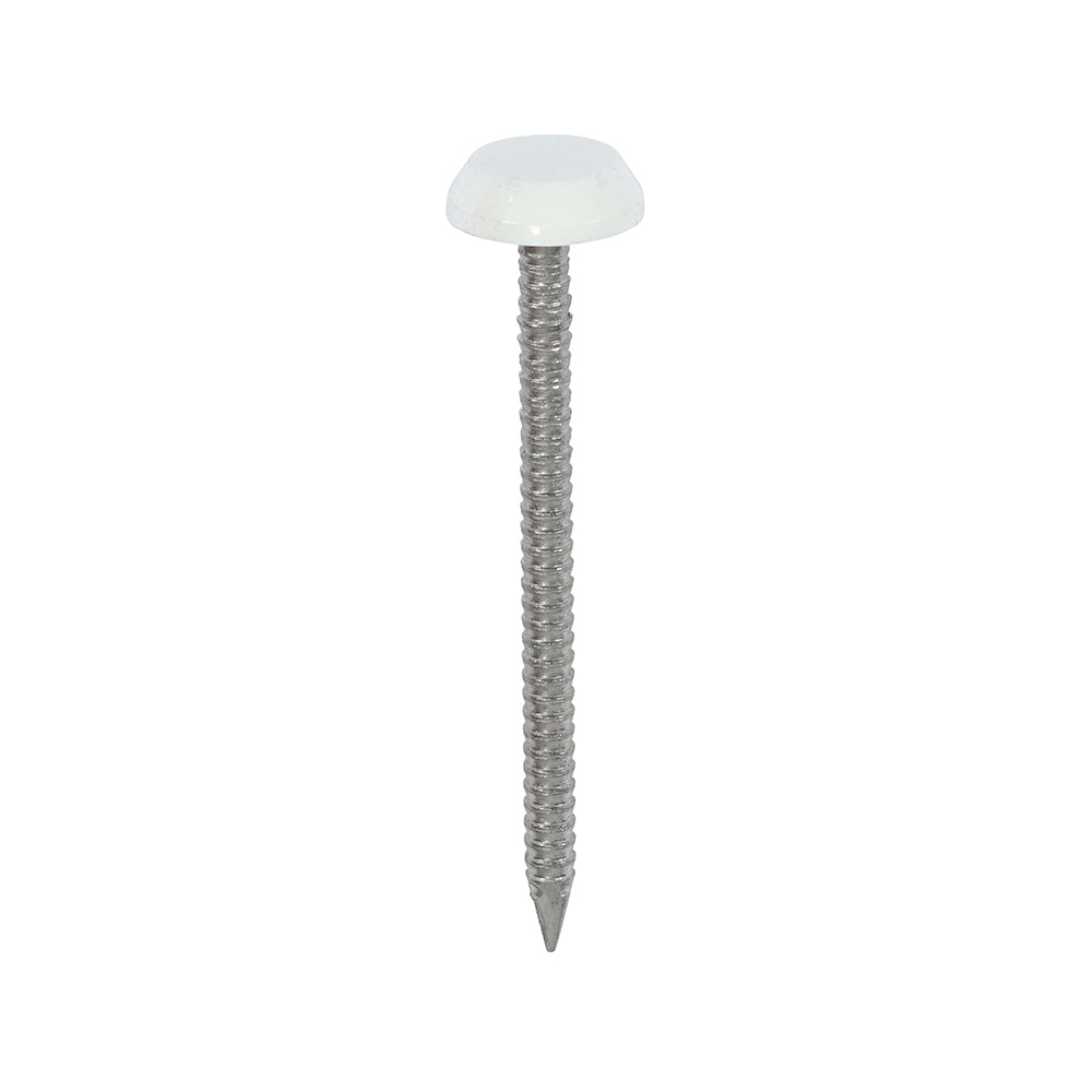 This is an image showing TIMCO Polymer Headed Nails - A4 Stainless Steel - White - 50mm - 100 Pieces Box available from T.H Wiggans Ironmongery in Kendal, quick delivery at discounted prices.