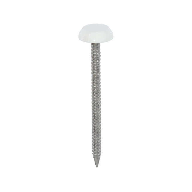 This is an image showing TIMCO Polymer Headed Nails - A4 Stainless Steel - White - 50mm - 100 Pieces Box available from T.H Wiggans Ironmongery in Kendal, quick delivery at discounted prices.