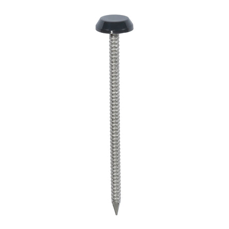 This is an image showing TIMCO Polymer Headed Nails - A4 Stainless Steel - Anthracite Grey - 65mm - 100 Pieces Box available from T.H Wiggans Ironmongery in Kendal, quick delivery at discounted prices.