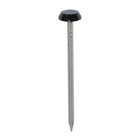 This is an image showing TIMCO Polymer Headed Nails - A4 Stainless Steel - Black - 65mm - 100 Pieces Box available from T.H Wiggans Ironmongery in Kendal, quick delivery at discounted prices.