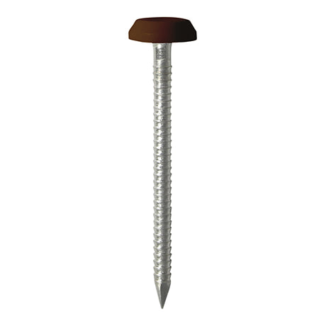 This is an image showing TIMCO Polymer Headed Nails - A4 Stainless Steel - Mahogany - 65mm - 100 Pieces Box available from T.H Wiggans Ironmongery in Kendal, quick delivery at discounted prices.