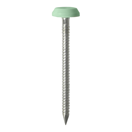 This is an image showing TIMCO Polymer Headed Nails - A4 Stainless Steel - Chartwell Green - 65mm - 100 Pieces Box available from T.H Wiggans Ironmongery in Kendal, quick delivery at discounted prices.