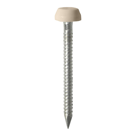 This is an image showing TIMCO Polymer Headed Pins - A4 Stainless Steel - Beige - 25mm - 250 Pieces Box available from T.H Wiggans Ironmongery in Kendal, quick delivery at discounted prices.