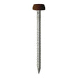 This is an image showing TIMCO Polymer Headed Pins - A4 Stainless Steel - Mahogany - 25mm - 250 Pieces Box available from T.H Wiggans Ironmongery in Kendal, quick delivery at discounted prices.