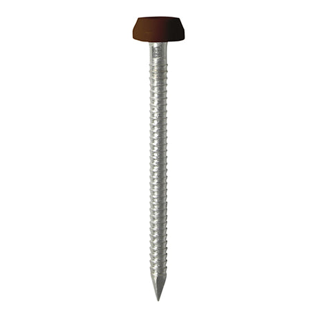 This is an image showing TIMCO Polymer Headed Pins - A4 Stainless Steel - Mahogany - 25mm - 250 Pieces Box available from T.H Wiggans Ironmongery in Kendal, quick delivery at discounted prices.