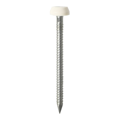 This is an image showing TIMCO Polymer Headed Pins - Stainless Steel - White - 25mm - 65 Pieces TIMpac available from T.H Wiggans Ironmongery in Kendal, quick delivery at discounted prices.