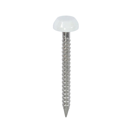 This is an image showing TIMCO Polymer Headed Pins - A4 Stainless Steel - White - 25mm - 250 Pieces Box available from T.H Wiggans Ironmongery in Kendal, quick delivery at discounted prices.